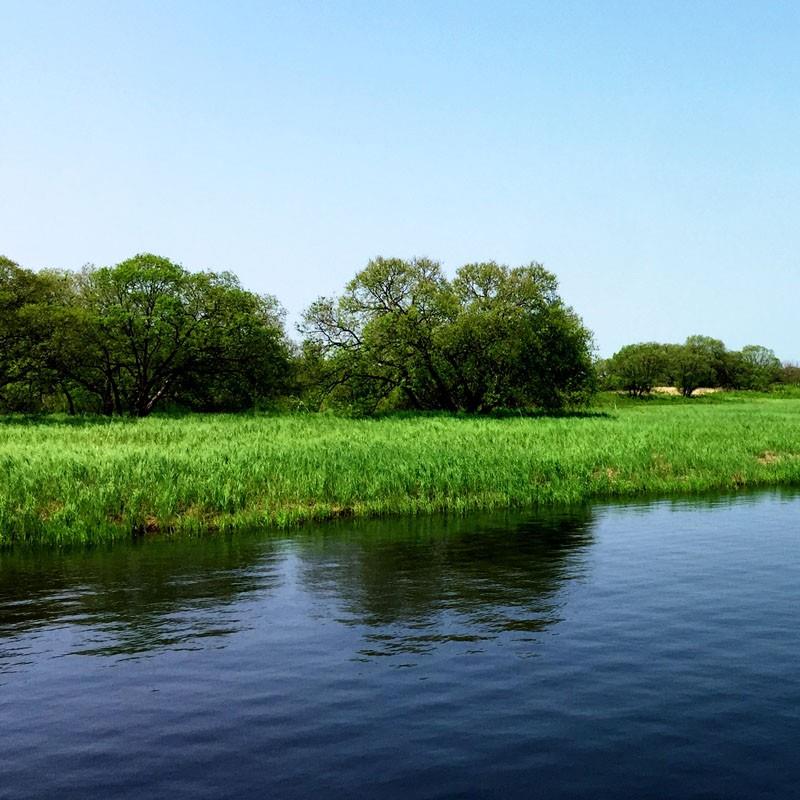 建設(shè)項(xiàng)目使用林地